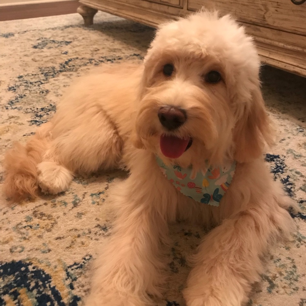 Meet your Posher, Christie